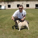 CACIB DOGSHOW - KOMÁROM, 12. 06. 2011.